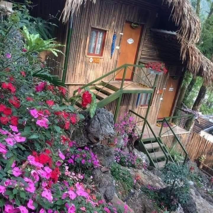 Green Hill Hostel & Tour Ha Giang Exteriör bild